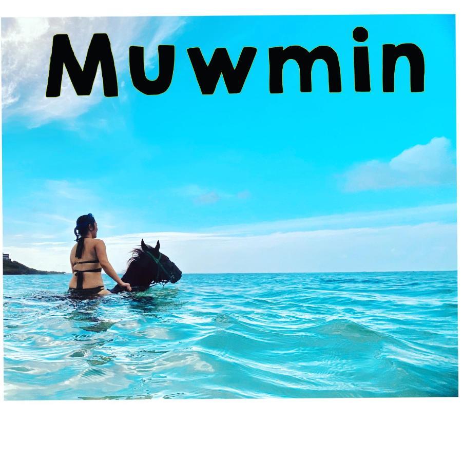 Willa Muumin Farm Nakijin Zewnętrze zdjęcie