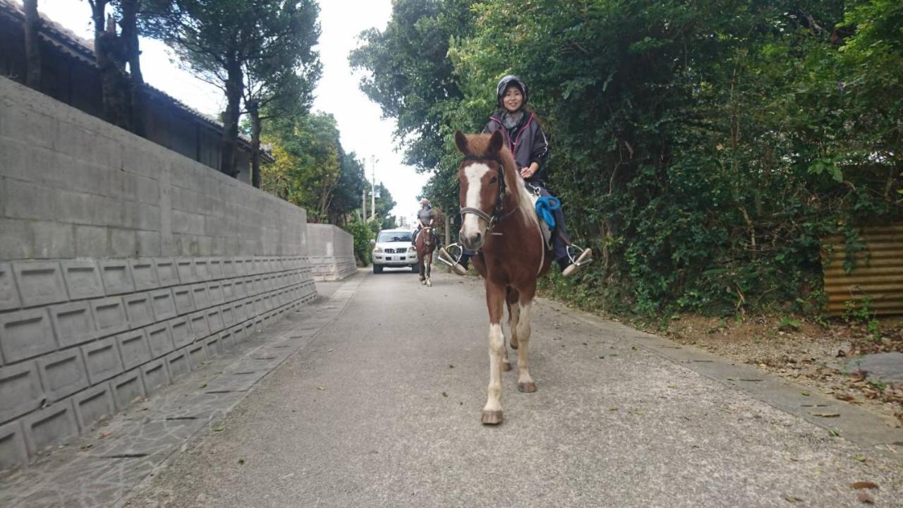 Willa Muumin Farm Nakijin Zewnętrze zdjęcie